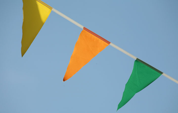 Flags_blog.jpg